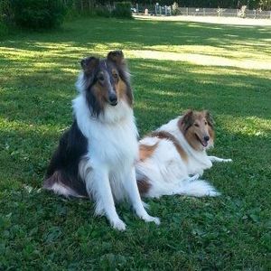 Meet your Posher, Gary